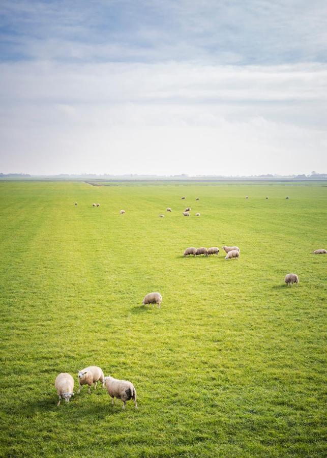Ollediek Houwerzijl ภายนอก รูปภาพ