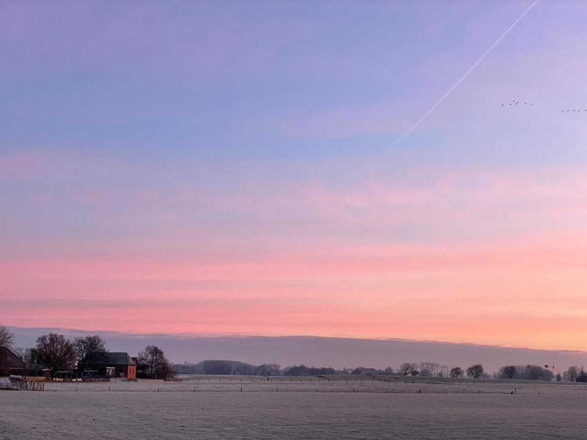 Ollediek Houwerzijl ภายนอก รูปภาพ