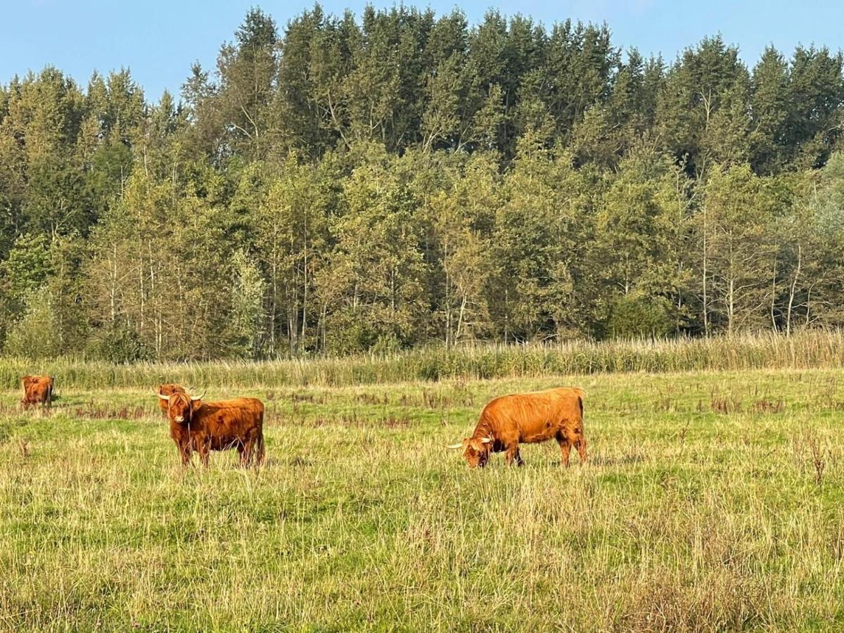 Ollediek Houwerzijl ภายนอก รูปภาพ