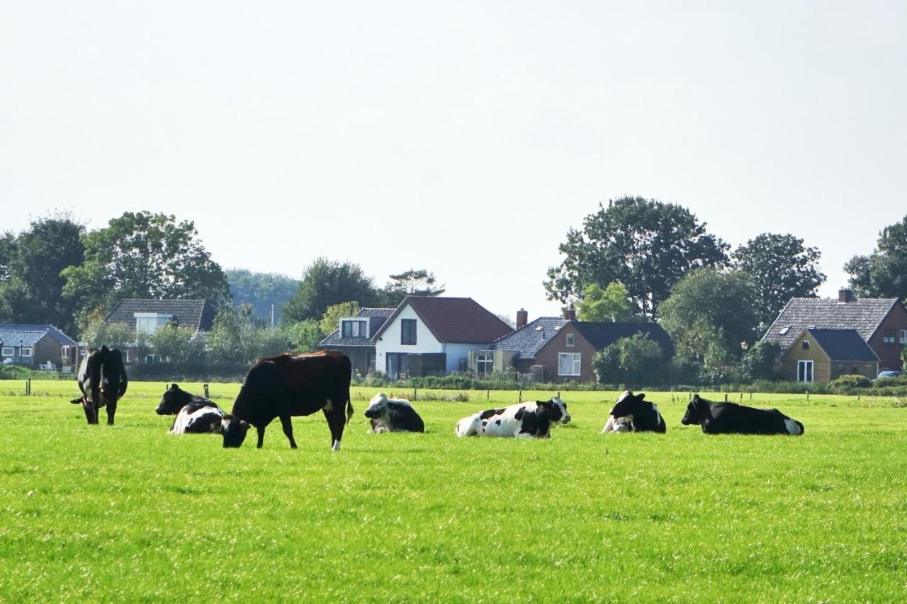 Ollediek Houwerzijl ภายนอก รูปภาพ