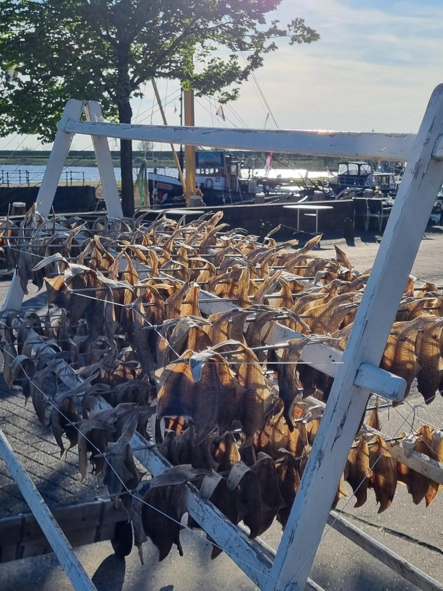 Ollediek Houwerzijl ภายนอก รูปภาพ